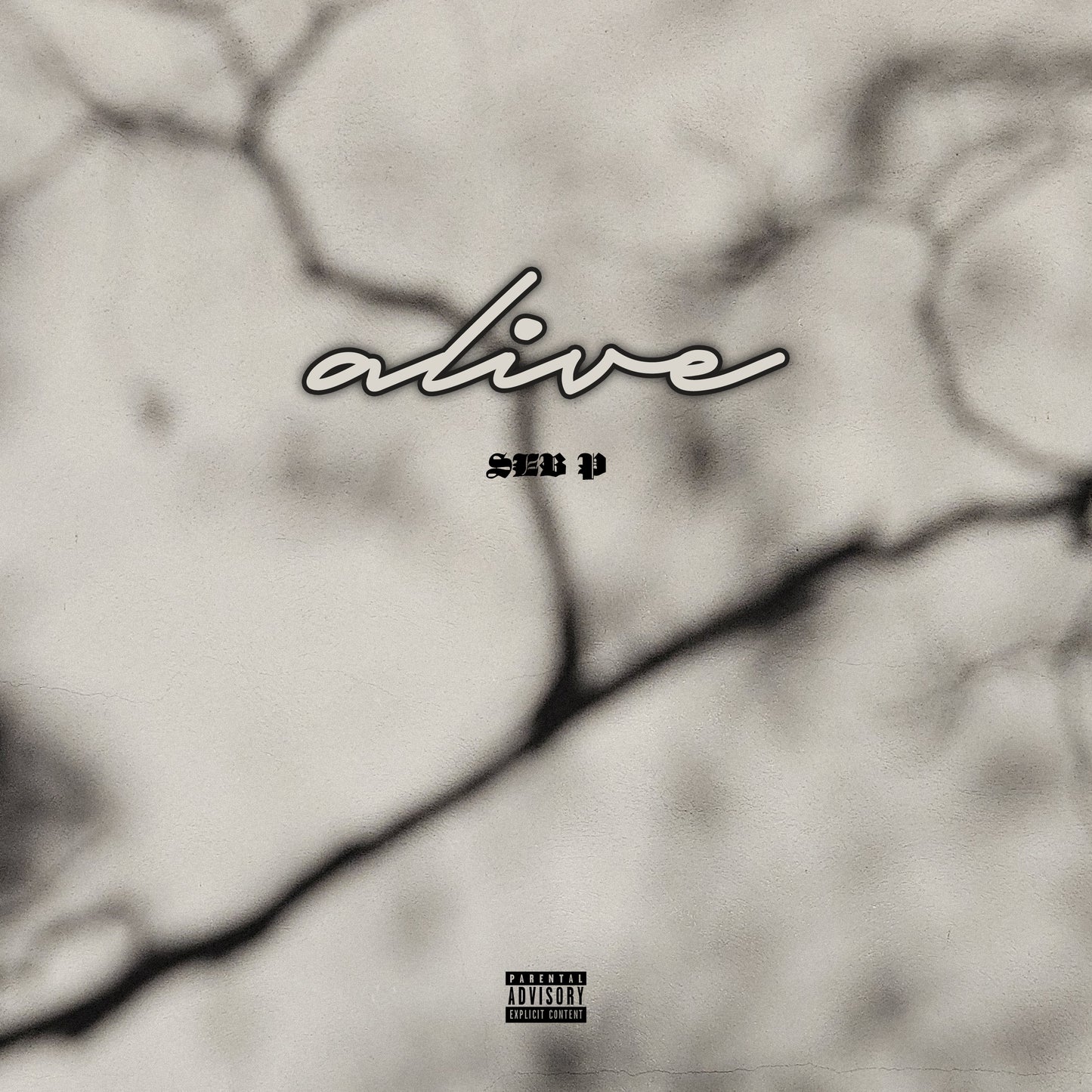 All Real ® : Alive [12 Albums]