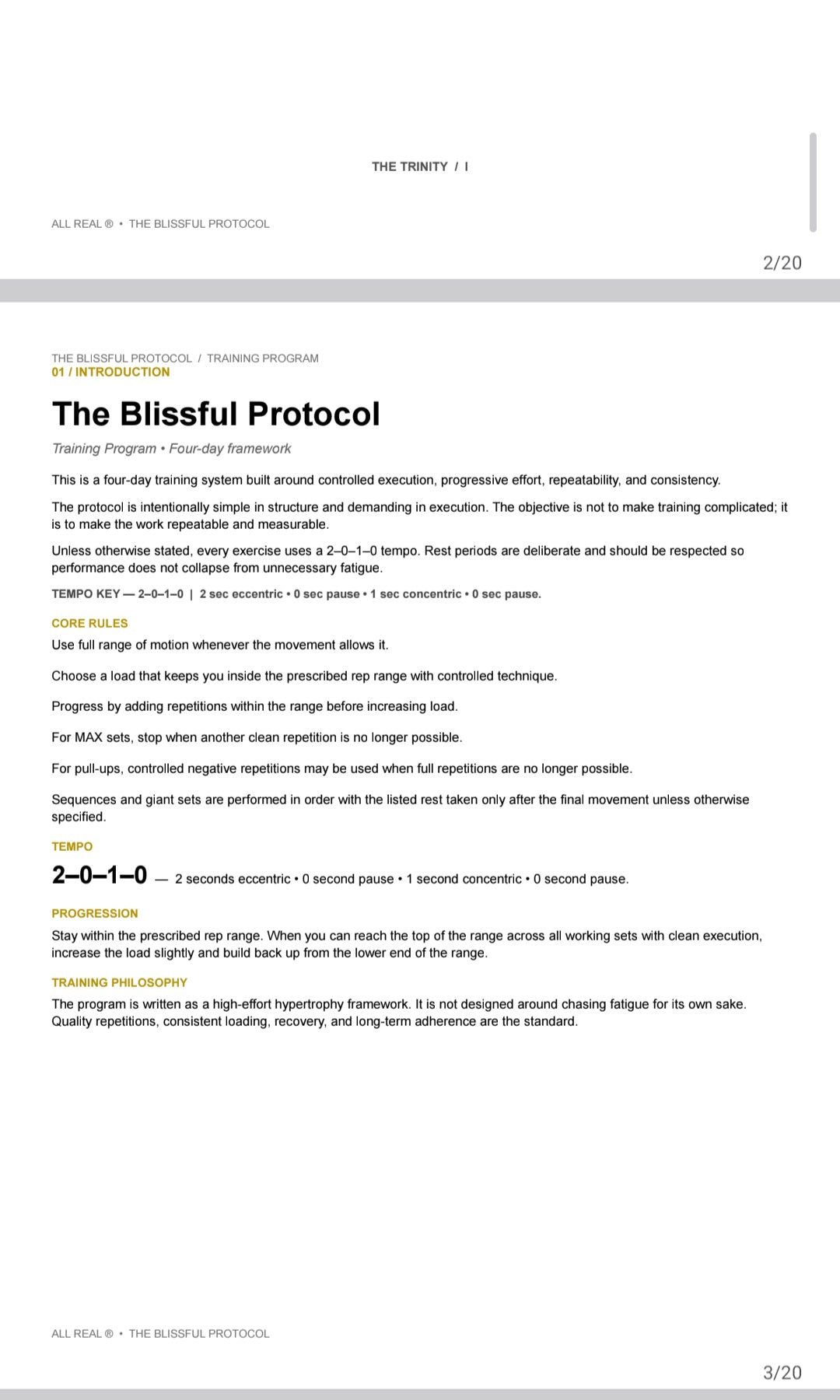 THE BLISSFUL PROTOCOL — TRAINING PROGRAM