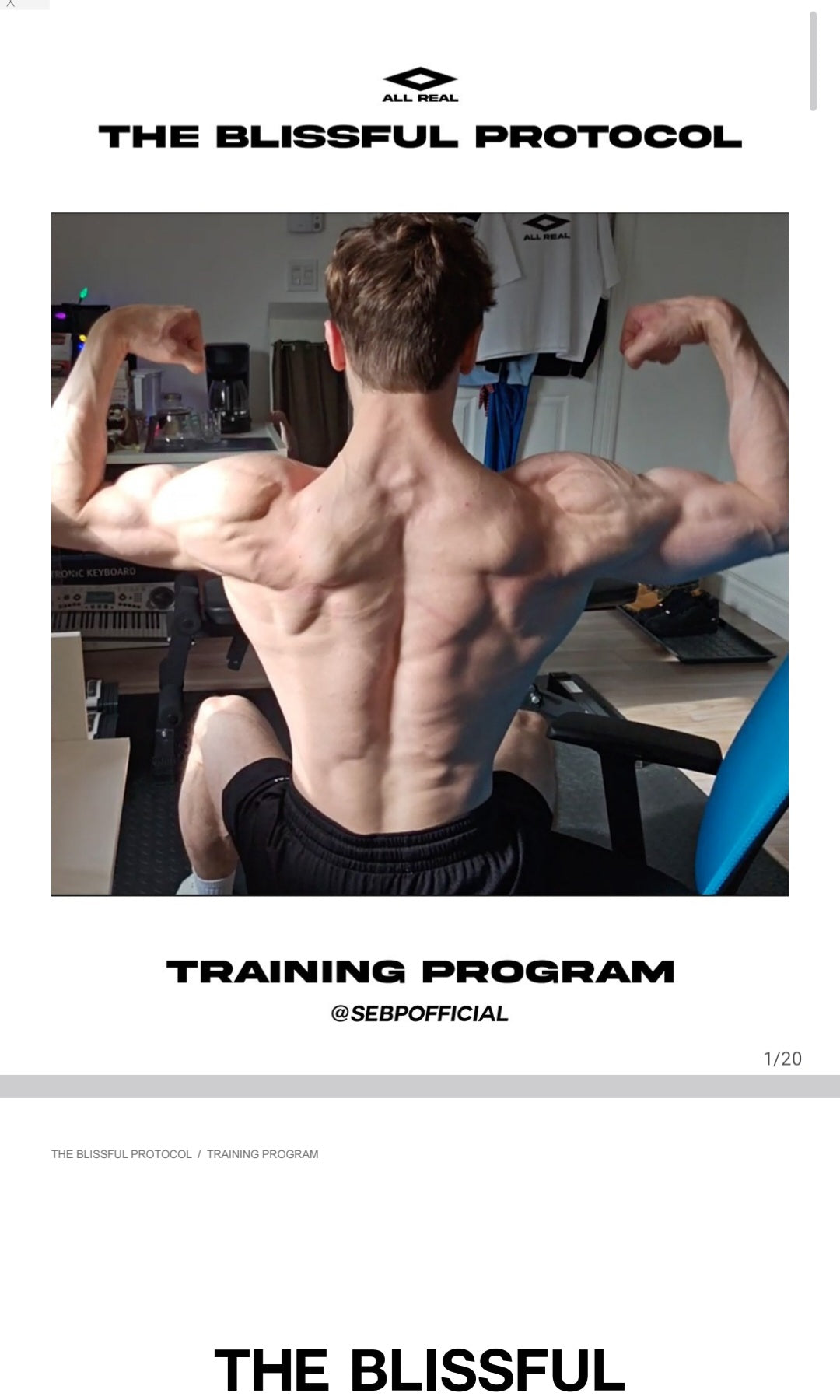THE BLISSFUL PROTOCOL — TRAINING PROGRAM